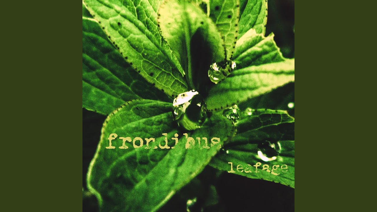 Herbivorous Brittle Hands YouTube