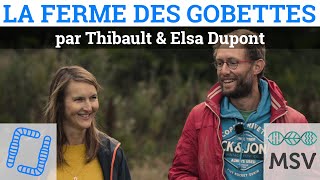 Portrait de ferme MSV - La Ferme des Gobettes (27) - Thibault & Elsa Dupont - 2020