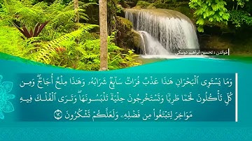 تحسین ابراهیم دوسکی - تەڤسیرا سورة فاطر