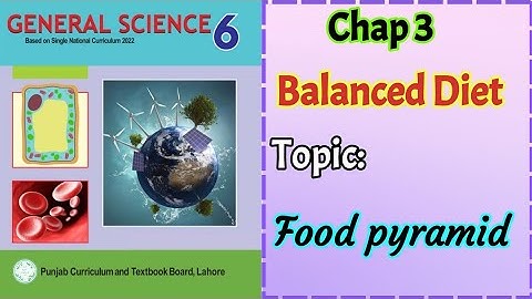 Class 6 Science Chapter 3 | Balanced Diet | Food Pyramid