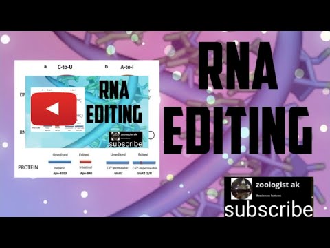 Video: Befolkning Og Allel Variation Af A-til-I RNA-redigering I Humane Transkriptomer