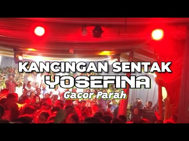 LAGU PARTY KANCINGAN 2024_🌴YOSEFINA🌴_BY EMAN REMIXER class=