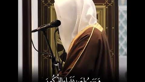 تلاوة باكية خاشعة ~الزعيم ناصر القطامي 💚💚
