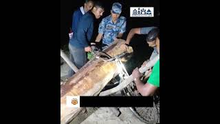 अवैध सालको काठसहित पाँच साइकल बरामद, तस्कर फरार