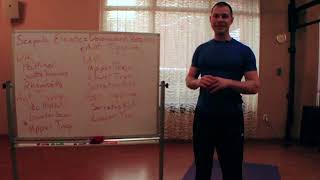 Overhead Squat Assessment - Shoulders Elevate