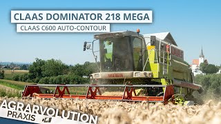 Claas Dominator 218 Mega + C600 • harvesting wheat | Agrarvolution Praxis