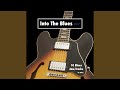 Slow Acoustic Blues Guitar Backing Track - B Minor