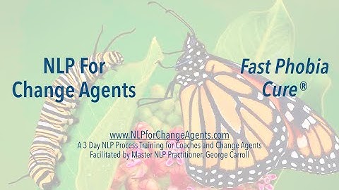 NLP for Change Agents - NLP Fast Phobia Cure(Neuro Linguistic Programming)