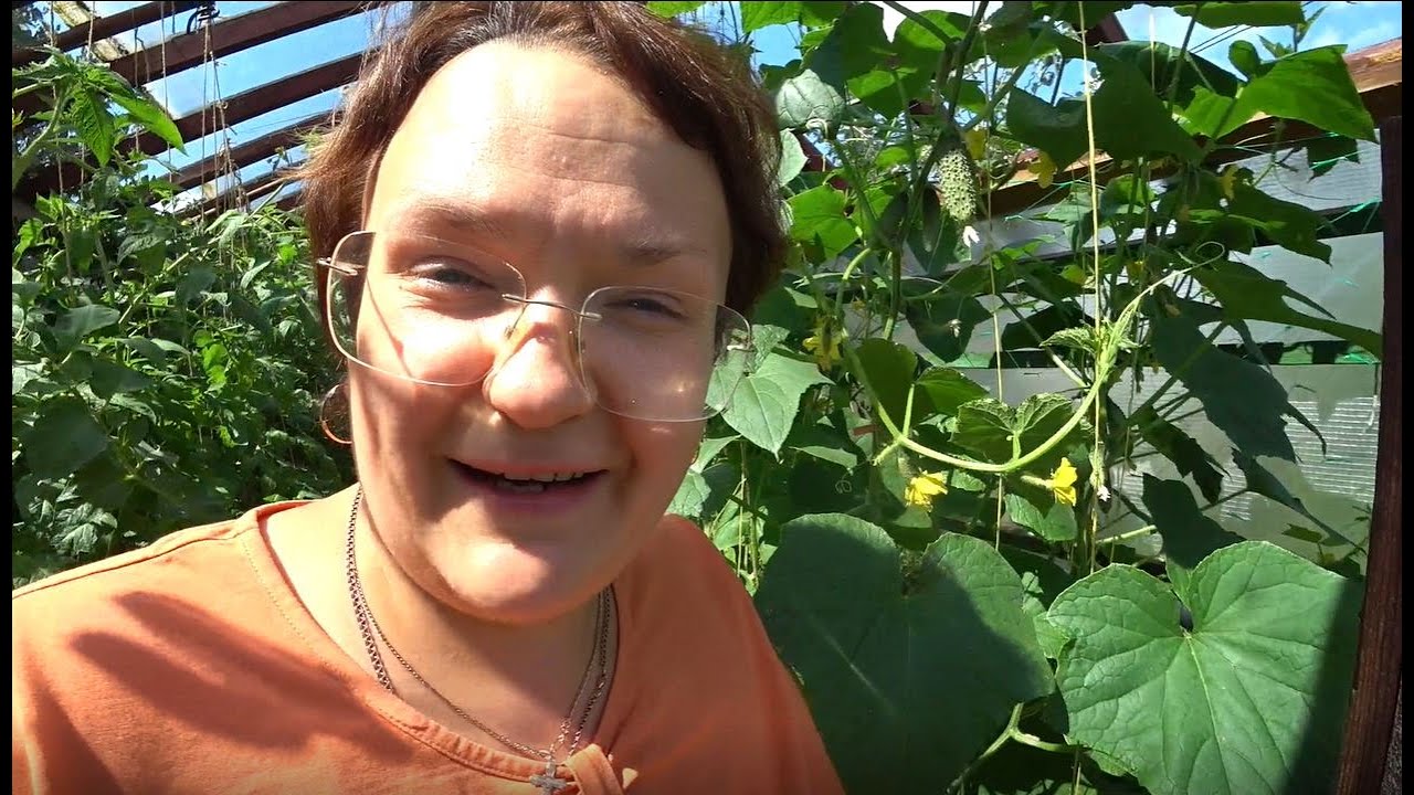 Не повторяйте моих ошибок с огурцами