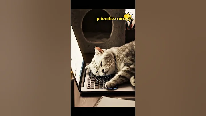 Video 11577331: american shorthair, purring