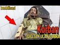 PETANI KORBAN G1G1TAN ULAR COBRA