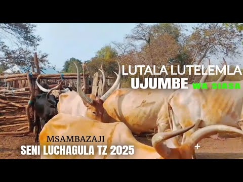 LUTALA LUTELEMLA UJUMBE WA SIASA PART 2 BY SENI LUCHAGULA TZ 2025