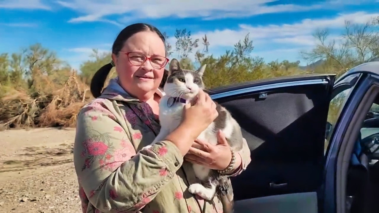 Van Life for Less: Cheap, Prius Living on a Dime! Climate Controlled Car Living! | No-Build Van Life