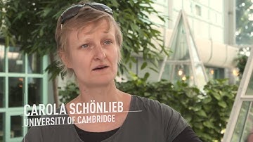 CHiPS-Challenges in Preservation of Structure