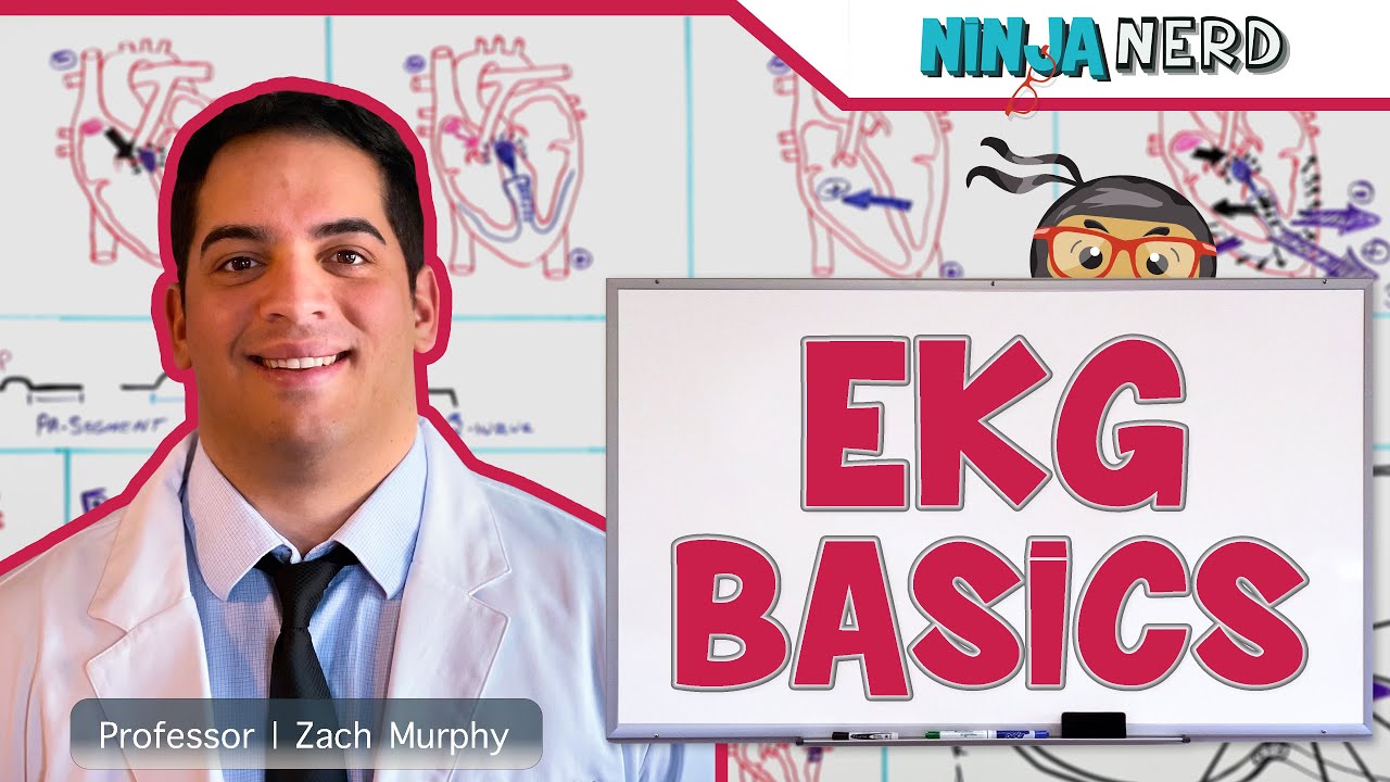  Update New  EKG Basics | How to Read \u0026 Interpret EKGs: Updated Lecture