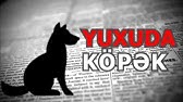 Pin On Yuxu Yozmalari 2020