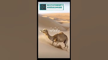 الم ترى ان الله يسجد له ما في السماوات وما في الأرض تلاوه مميزه للشيخ ياسر الدوسري
