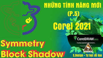 [Hướng dẫn sử dụng Coreldraw 2021 P.5] Symmetry Vẽ đối xứng và Block Shadow | S.Design