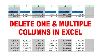 How to Delete a SINGLE and MULTIPLE Non-adjacent Columns in Excel Net Worth