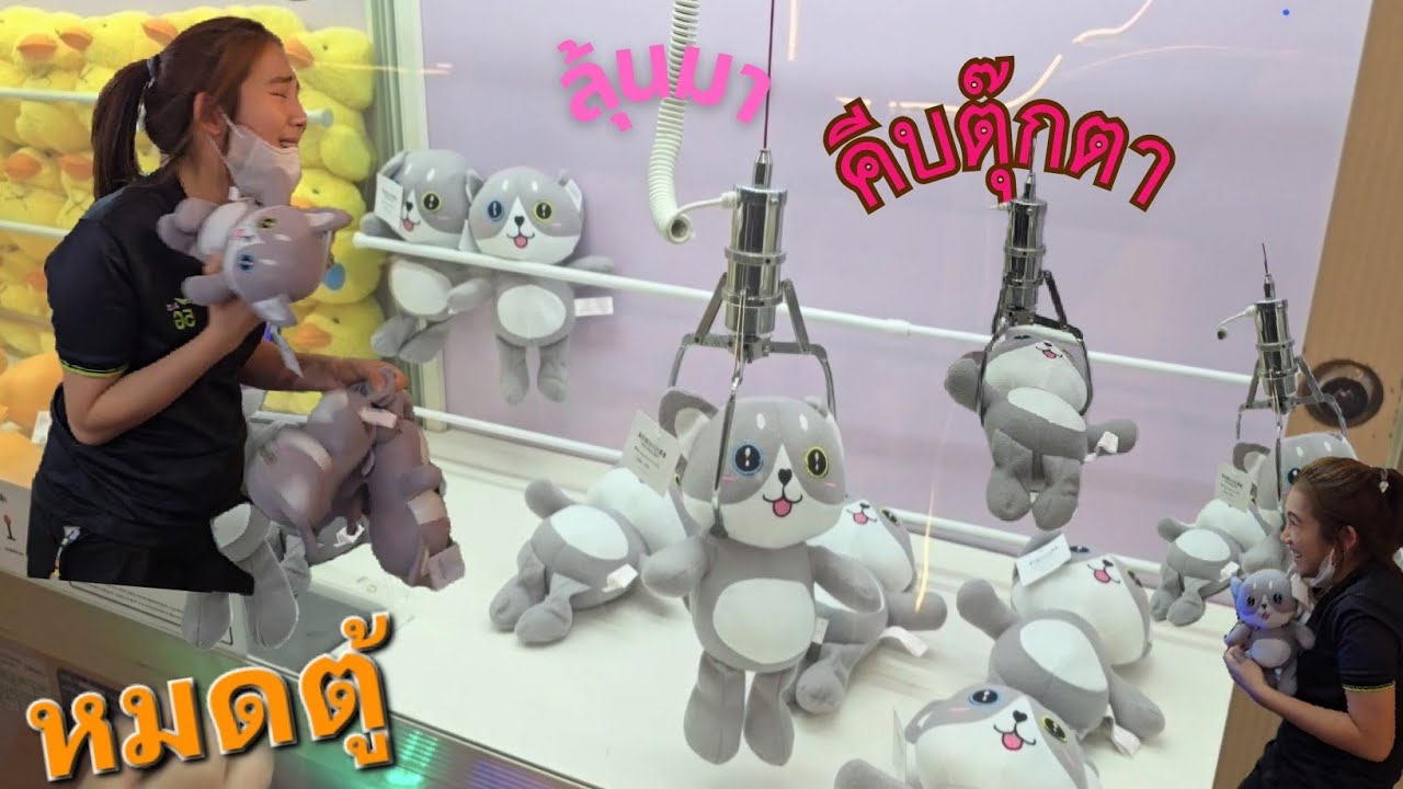 โครตโหดลุ้นมาก คีบตุ๊กตาจนหมดตู้ เเต่ละคนมือเทพมาก #คีบตุ๊กตา #ตุ๊กตาตู้คีบ #เทคนิคคีบตุ๊กตา