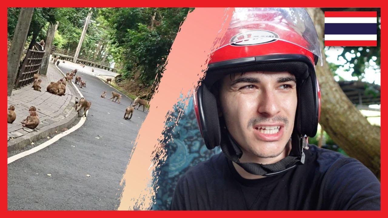 Sunt maimutele AGRESIVE in THAILANDA?🇹🇭