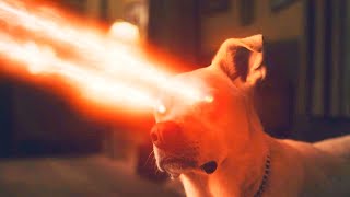 SUPER DOG KRYPTO used his MAXIMUM POWER to SAVE the SUPERMAN CLONE  RECAP