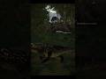 THE JUNGLE, HAS TAKEN THEM | WHEN CARNIVORES COLLIDE | THE ISLE