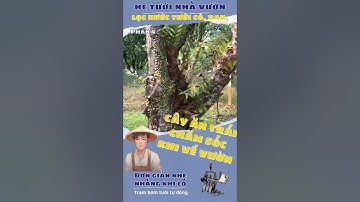 Giải pháp tưới tự động cho nhà vườn giúp tiết kiệm nước #shorts