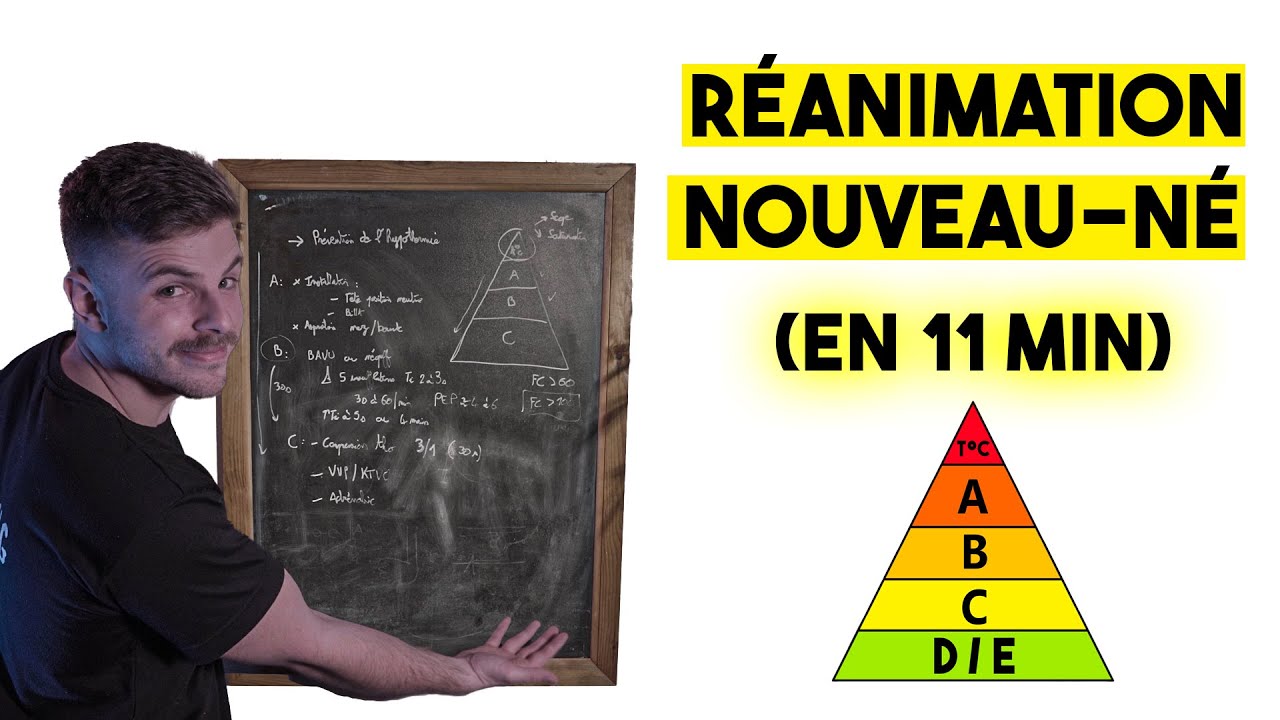 Réanimation du nouveau-né (l'algorithme)