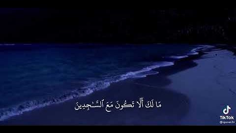 قران كريم رمضان كريم ارح سمعك ادعولي بالتعليقات جزاكم الله خير 😍😍