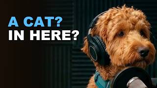 We Let a Cat Into Our Dog Podcast (Meet Avon)