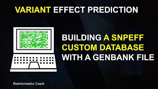 Variant effect prediction with snpeff | Building a database with a Genbank file