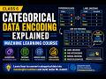 Categorical Data Encoding Explained | Machine Learning Course Class 6