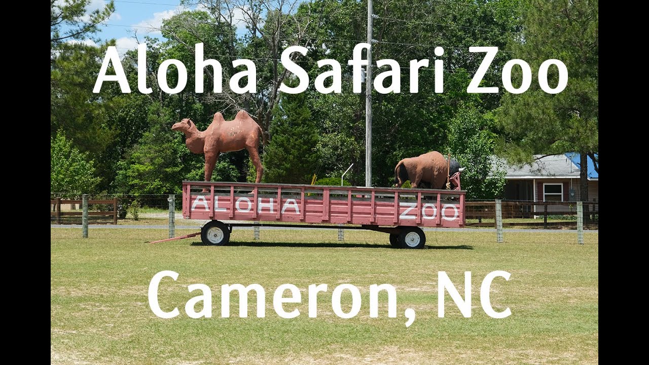 Aloha Safari Zoo in Cameron, North Carolina YouTube