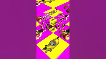 banana cat & shimoanzini cube rolling