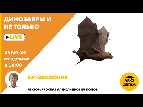 Видео: Занятие "БЭТ-эволюция" кружка "Динозавры и не только" с Ярославом Поповым