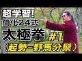 太極拳｜超学習！簡化24式太極拳【#1】起勢-野馬分鬃（チーシー-イエマーフェンゾン）太極拳オンライン｜中村げんこう