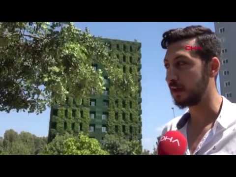 Video: Apartmanda Sarmaşık