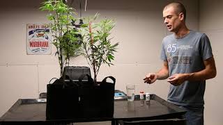 How to make clones with EZ Cloner