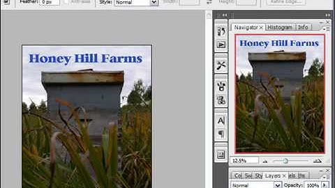 Display or Hide the Layers Palette in Photoshop CS3