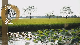 【靜思妙蓮華】法華經化城喻品 - 慧心安忍 信解真實 - 20220208 第1085集