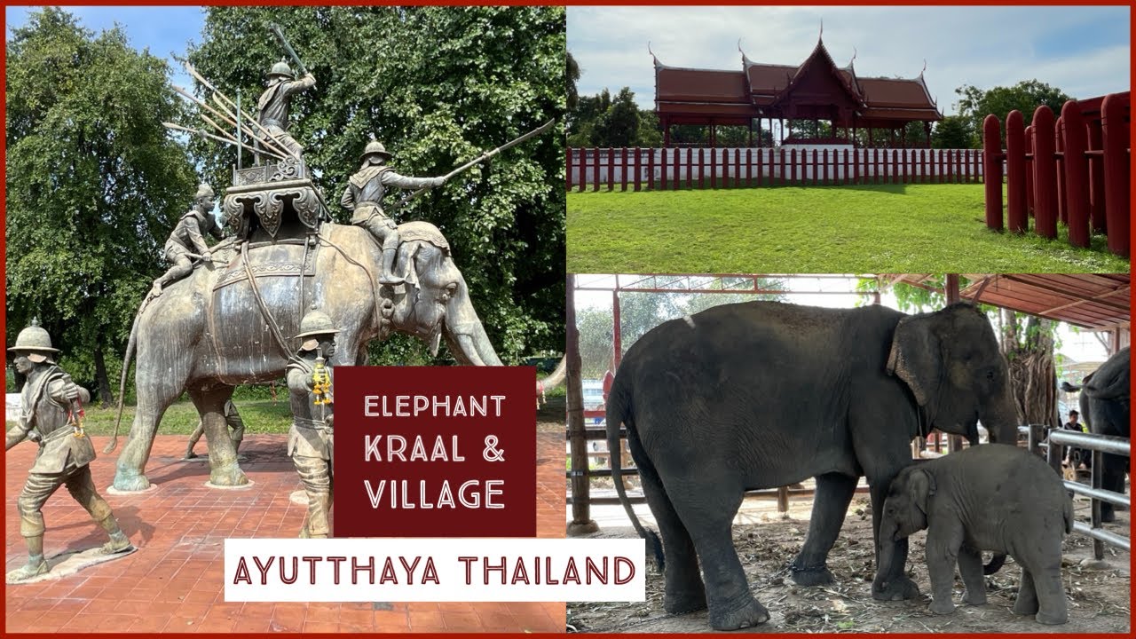 Elephant Kraal & Village Ayutthaya Thailand 2023 YouTube