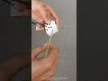 13A 1 Switch 1 Socket Connection/Wiring #electrical #electricalwiring #switch #socket