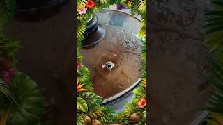 🪰 Опасная дырка в крышке! #кухня #крышкакастрюли #мухи