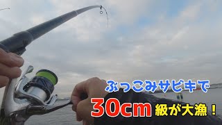 ぶっこみサビキで30cm級が大漁 Youtube