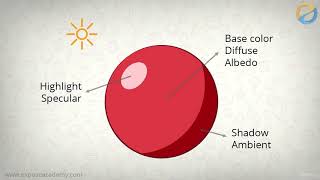 Adobe Illustrator Advanced Vector Artwork - learn Adobe Illustrator Net Worth
