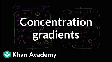 How does the concentration gradient affect the rate of osmosis?