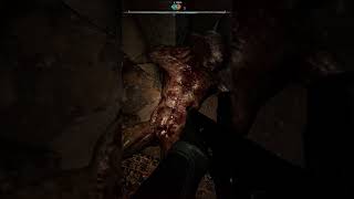 NEVER FEAR#mutant#bloodsuckers#stalker2
