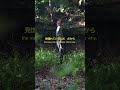 寿司食べたいなー #オリジナル曲
