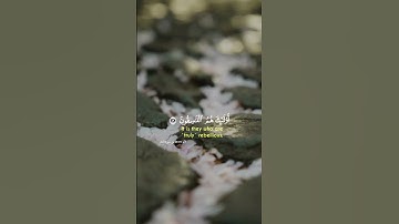 ولا تكونوا كالذين نسوا الله قرآن كريم السعودية الرياض مكة اليمن صنعاء مصر دبي قطر الجزائر العراق جدة